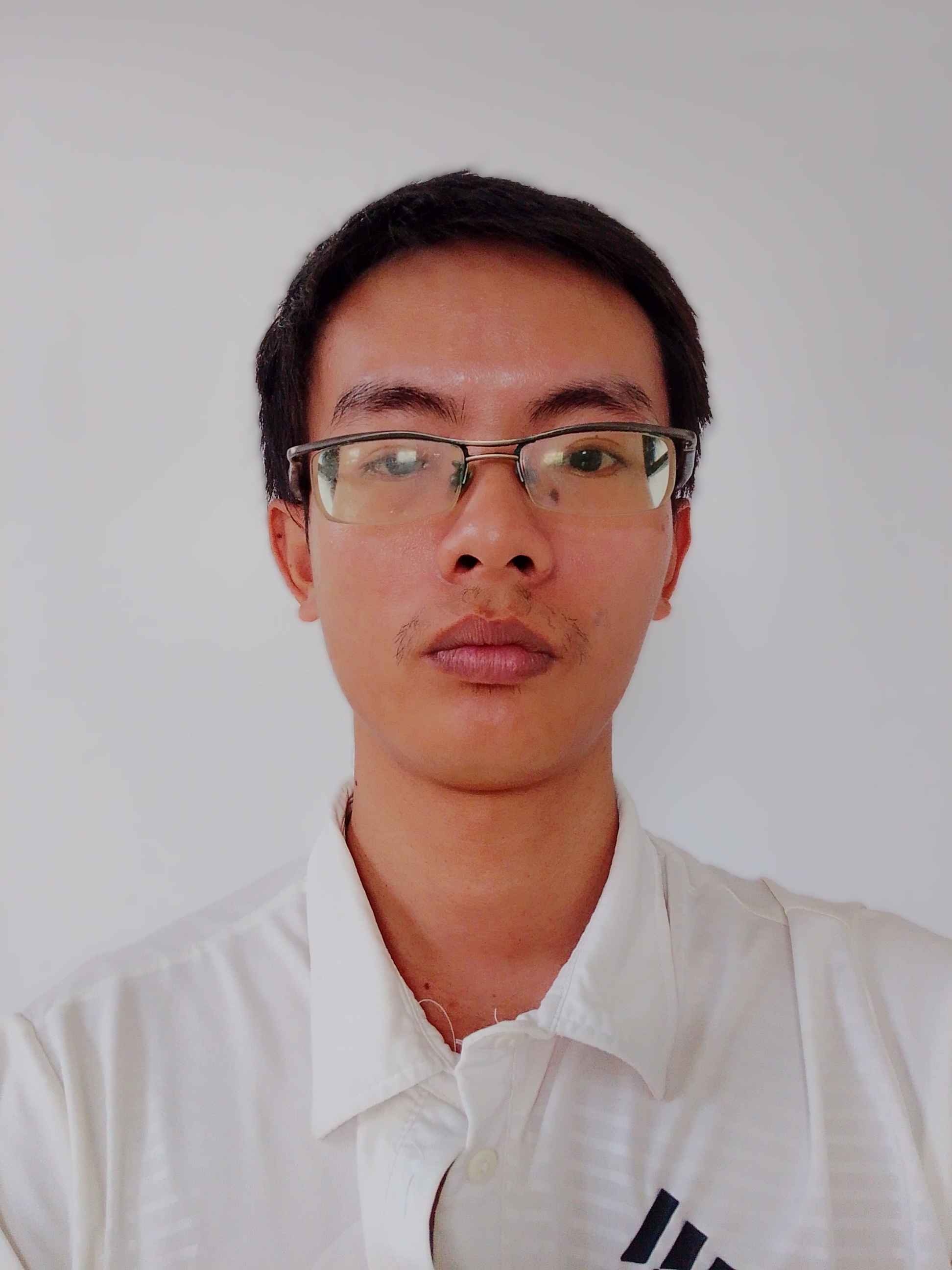 Developer